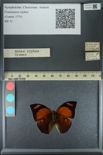 Media type: image;   Entomology 192009